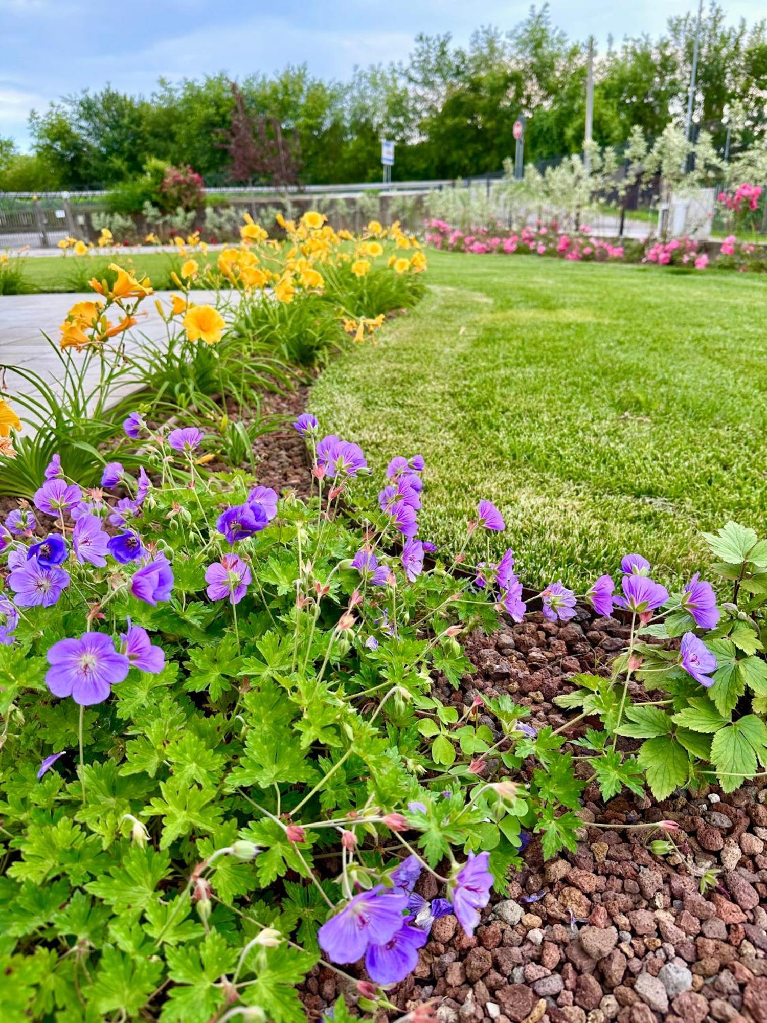 La Rosa Del Sile Villa Quarto d'Altino Ngoại thất bức ảnh